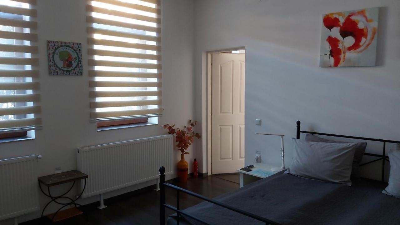 City Center Minimalist Apartment Oradea Bagian luar foto